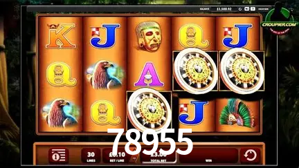 Live Casino 78955
